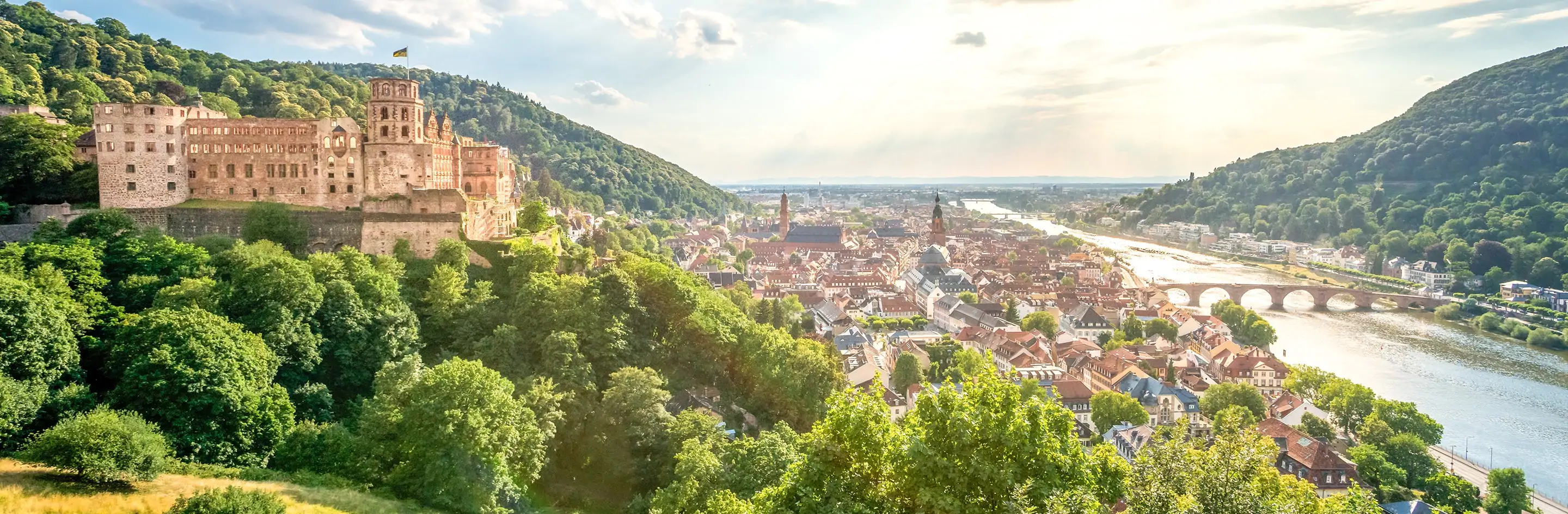 Cruise past Enchanting Castles along the Rhine River