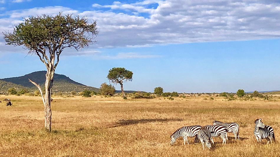 Discover the Wilds on Safari in Kenya and Tanzania